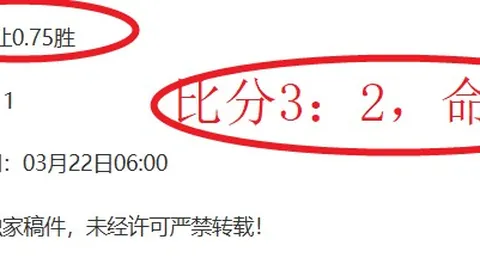 德乙赛事回顾：18胜13负，专家期号质合分析前区十码